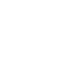 Icon Windows